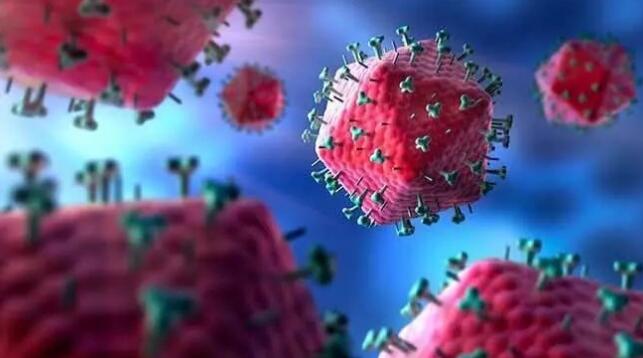 特殊时期，有什么是真正值得我们相信的！
