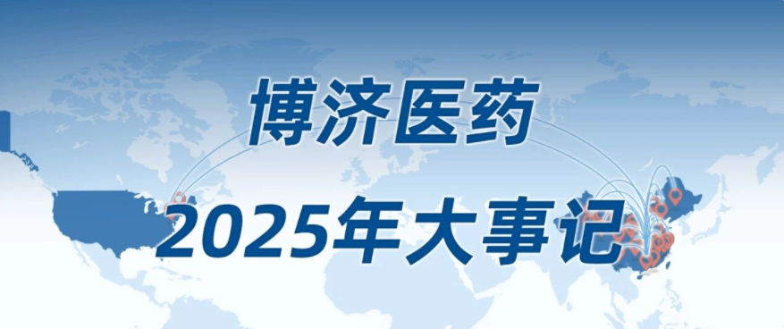 2025，这一年我们一路走过